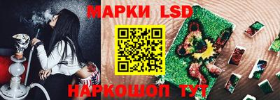 индика Кандалакша