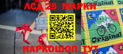 индика Кандалакша