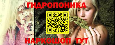 сатива Канаш
