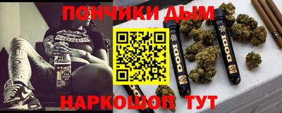 индика Кандалакша