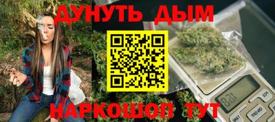 индика Кандалакша